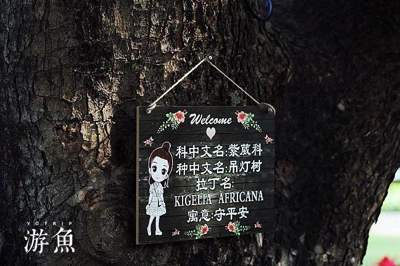 变色超人
